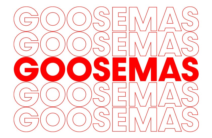 More Info for Goosemas